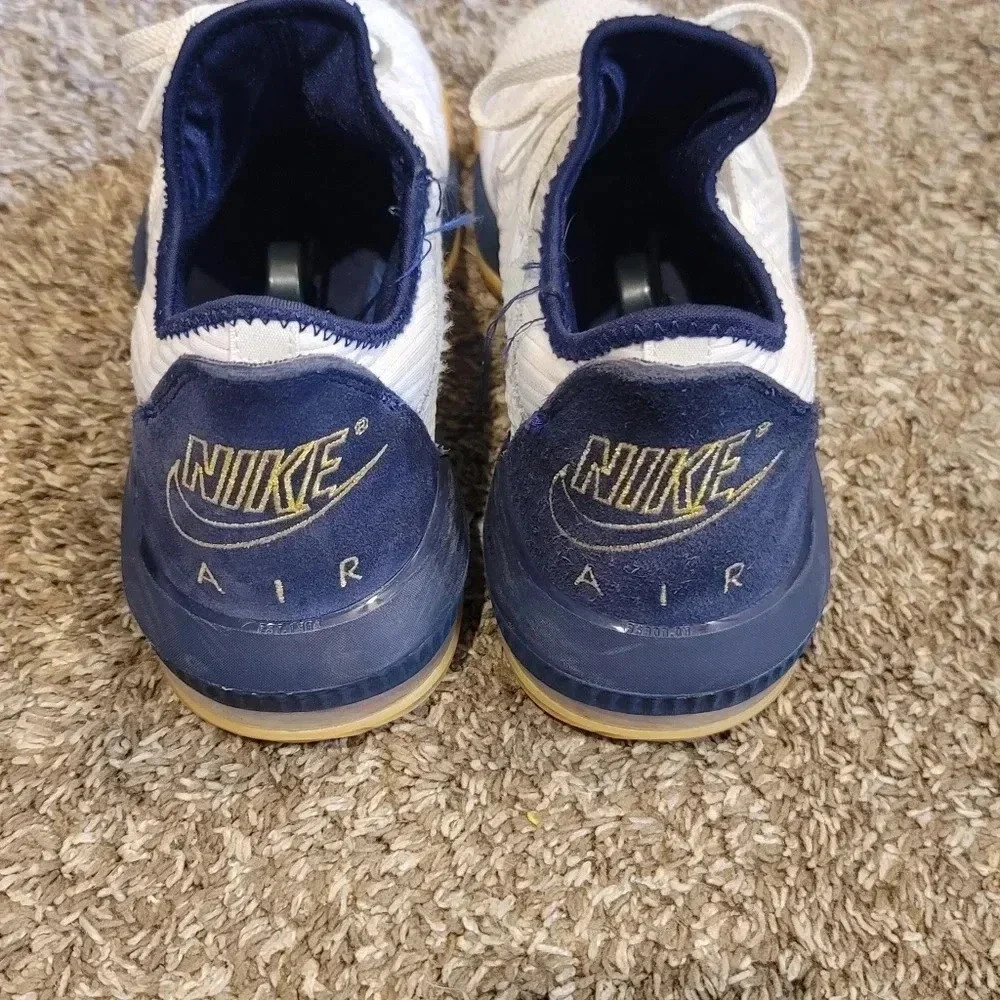 Nike Air LeBron Low - Picture 4 of 9